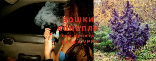 мдпв Майский