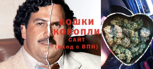 спиды Липки