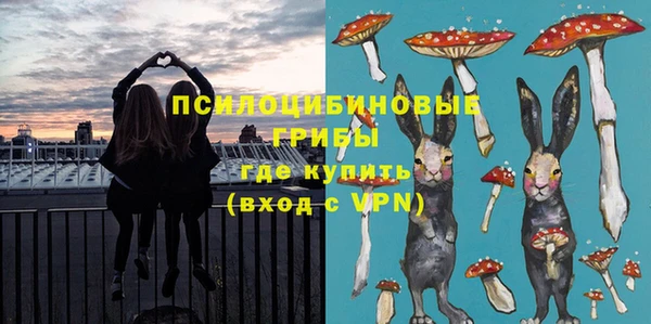 спиды Липки