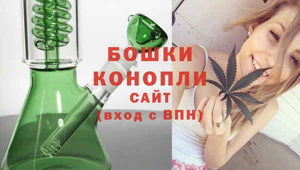 мдпв Майский