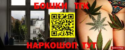 МДПВ Краснознаменск