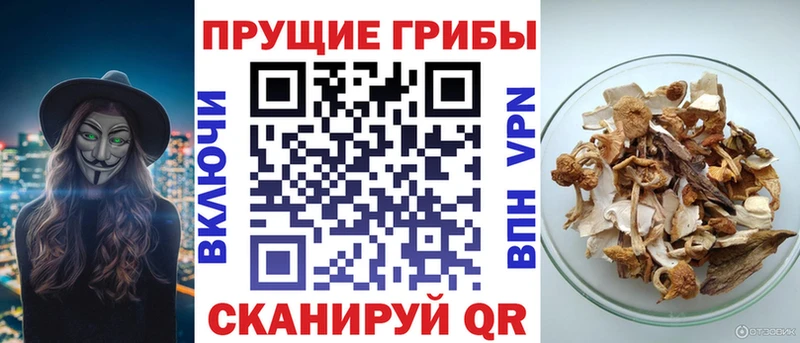 OMG рабочий сайт  Сокол  Галлюциногенные грибы ЛСД 