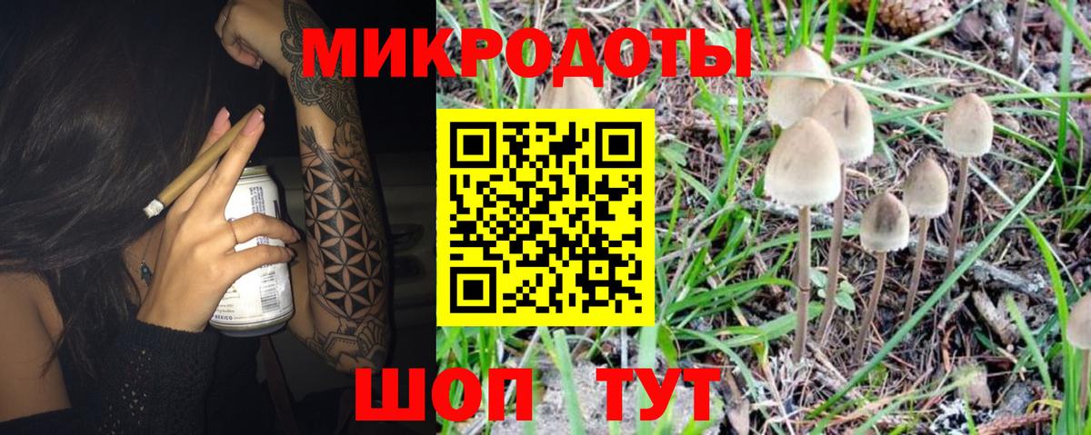 Псилоцибиновые грибы прущие грибы Сокол